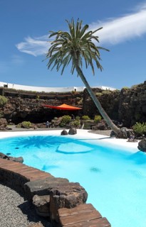 Tropical garden with swimming pool
