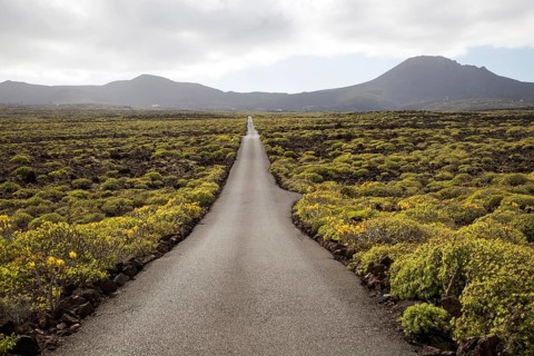 Straight sealed tarmac road crossing lava flows