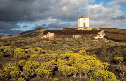 Molino Viejo