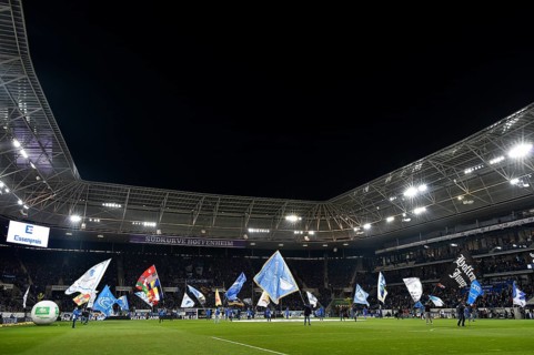 Flag wavers in the stadium in front of the start of a football match of the 1st Bundesliga
