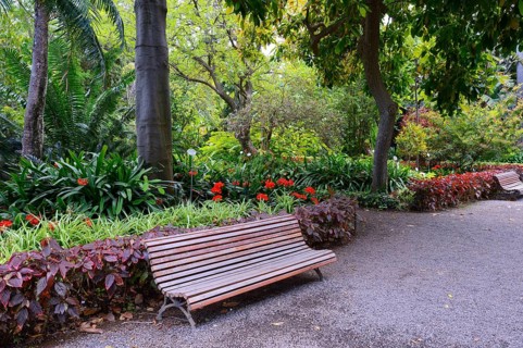Park bench in the Jardin de aclimatacion de la Orotava