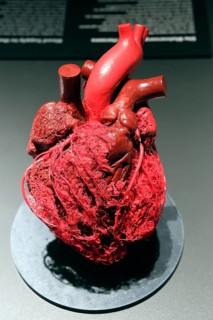 Plastinate