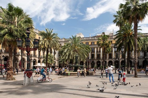 Placa Reial