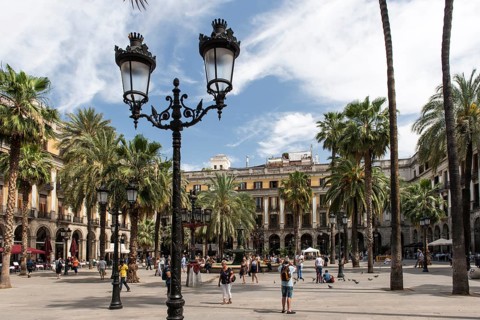 Placa Reial