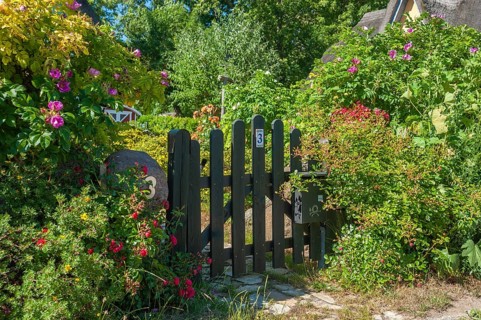 Garden door with roses