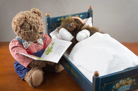 Sick Teddy Bear with bandaged paws and head