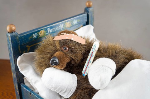 Sick Teddy bandaged paws and head