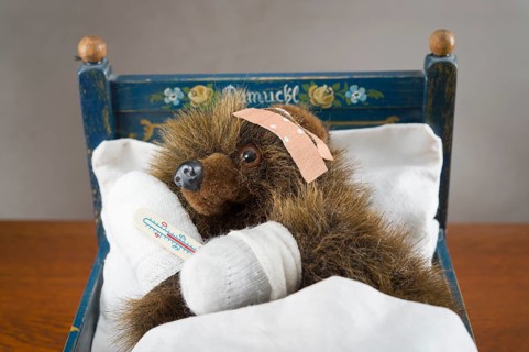 Sick Teddy bandaged paws and head
