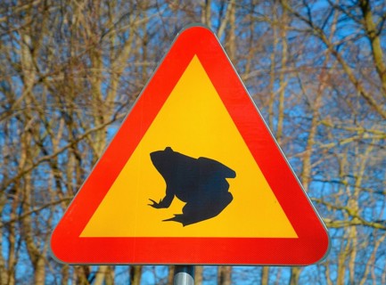 Sign for frog protection in Ystad sand forest