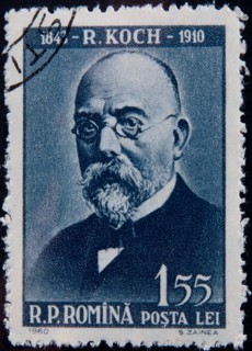 Robert Koch