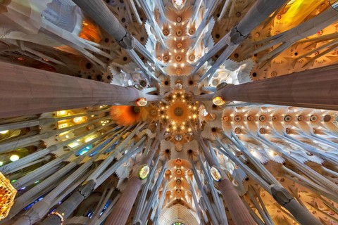 Interior view ceiling vault