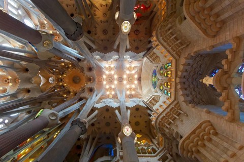 Interior view ceiling vault