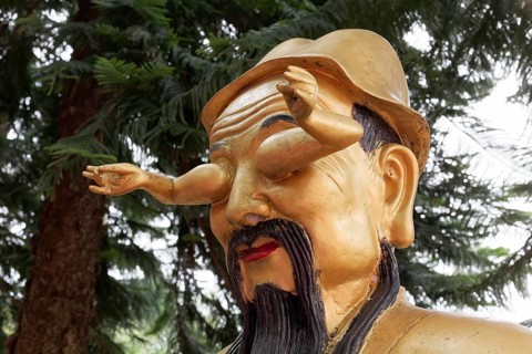 Head with two arms instead of eyes