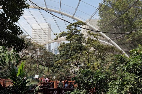 Walk-in Aviary Hong Kong Park