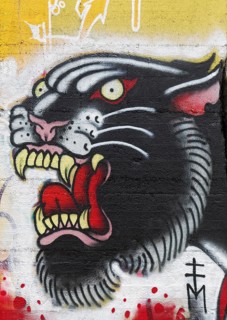 Panther with mouth open