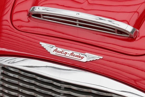 Austin Healey emblem on a Roadster