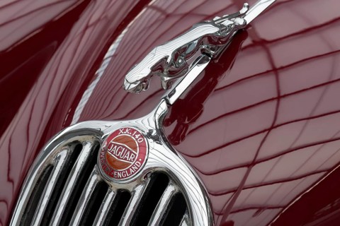 Emblem and mascot figurine on Jaguar XK140