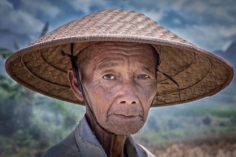 Indonesian rice farmer