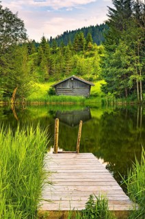 jetty