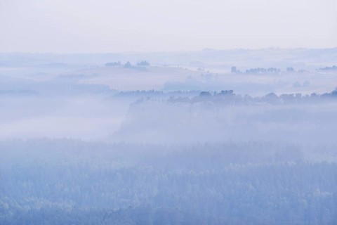 Dense morning fog