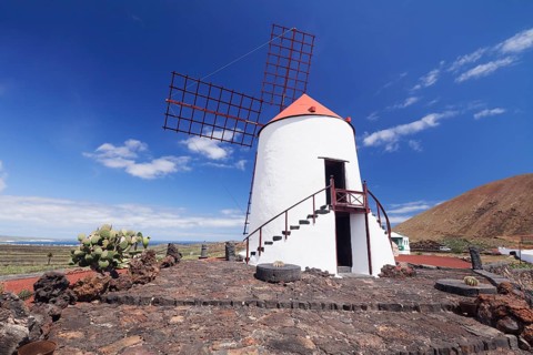 Windmill in Cactus Garden Jardin de Cactus by Cesar Manrique