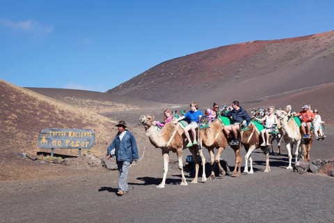 Tourists riding on dromedaries in Timanfaya National Park