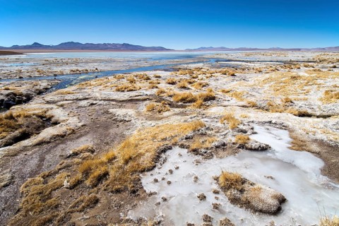 shore of Laguna Hedionda