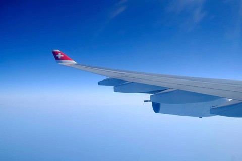 Left wing
