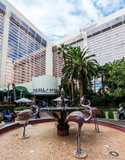 Fountain in courtyard