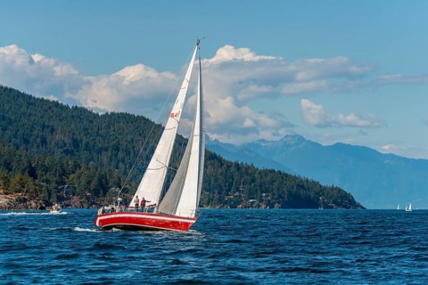 Sailboat on the sea