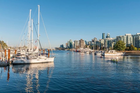Marina with sailboats