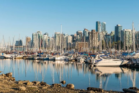 Marina with sailboats