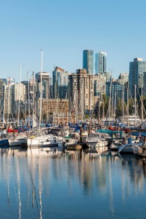 Marina with sailboats