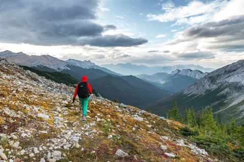 Female hiker on a hiking trail
