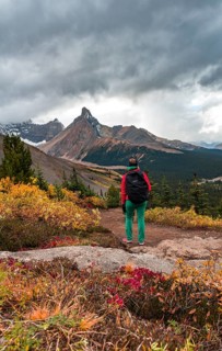 View to Mount Athabasca and Hilda Peak in autumn
