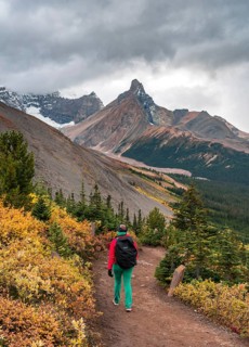 View to Mount Athabasca and Hilda Peak in autumn