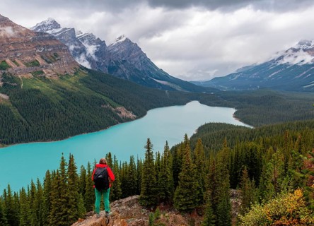 Hiker looks out into nature