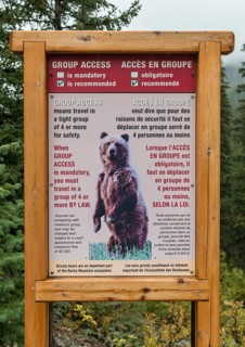 Warning sign for bears on hiking trail