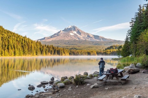 Angler at the lake