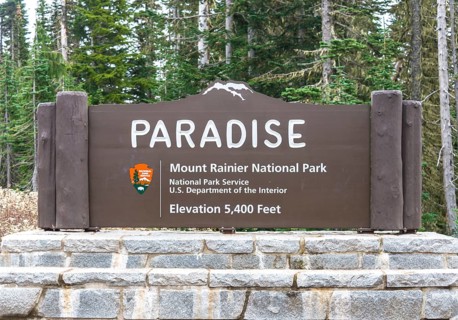 Sign Paradise