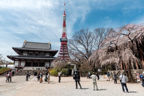 Tokyo Tower with Zojoji Temple