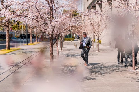 Japanese businessman in suit