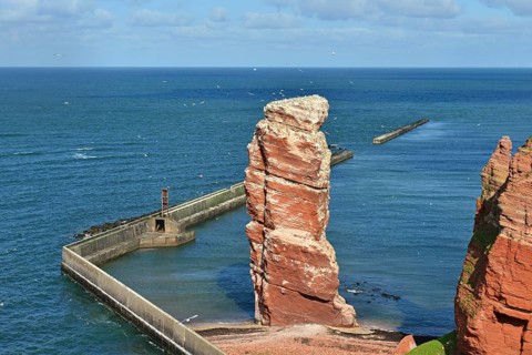Rock needle