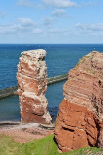 Rock needle