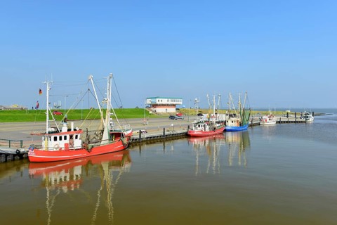 Fishing cutter in the harbour of Dorumersiel