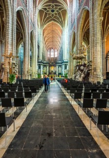 Cathedral of Saint Bavo