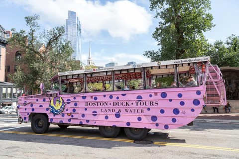 Bus Sightseeing Tour