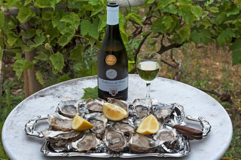 Fresh oysters (Ostreidae) with lemon and an oyster knife on a tray
