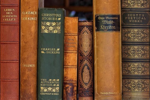 Spine of old classics