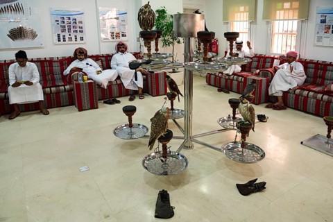 Waiting room and reception hall in Falken Hospital